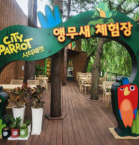 앵무새 체험 2 m1