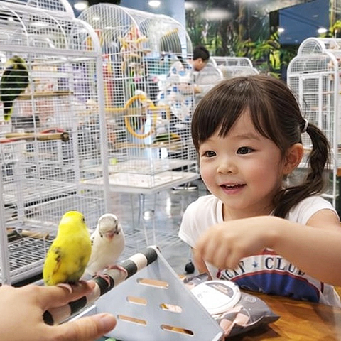 앵무새 체험 2 m3