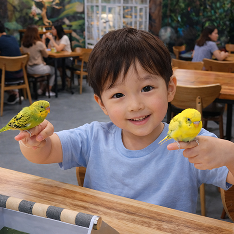 앵무새 체험 2 m4