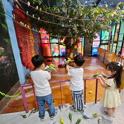 앵무새 체험 2 m5