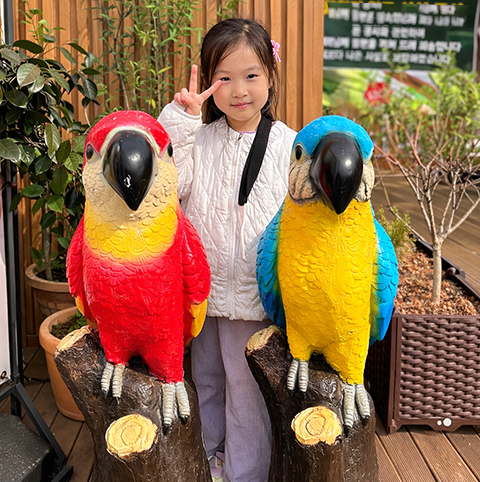 앵무새 체험 2 m8