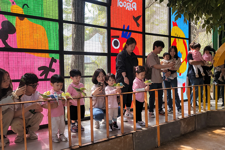 앵무새 단체체험 3 m2