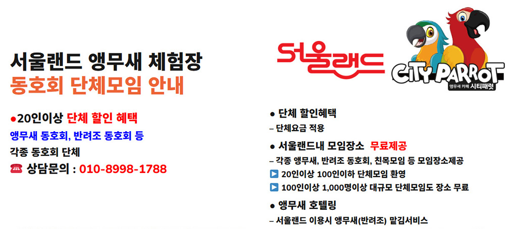 앵무새 단체체험 3 top