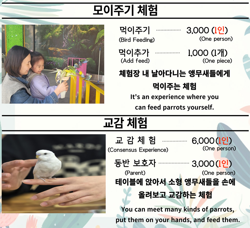앵무새 체험 price guide