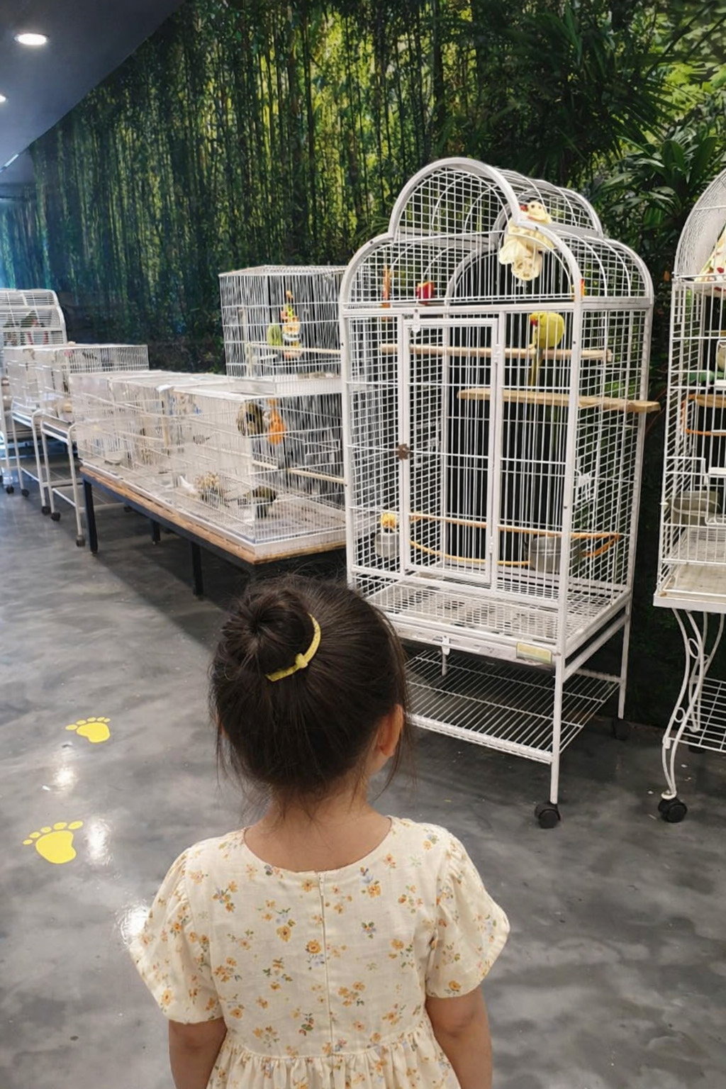 앵무새 체험 갤러리1