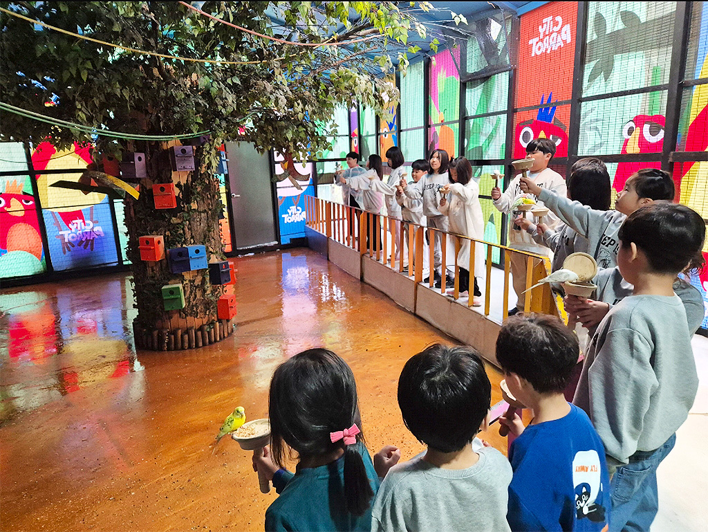 앵무새 체험 체험학습